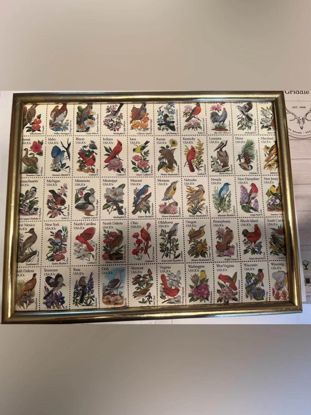 Framed Vintage Birds Stamp Art Print - Multicolor